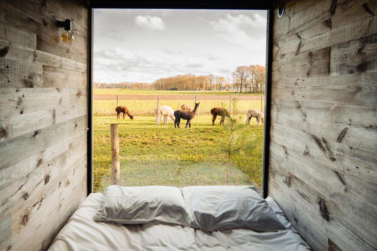 In De Hei Bed & Breakfast Mariahout Dış mekan fotoğraf